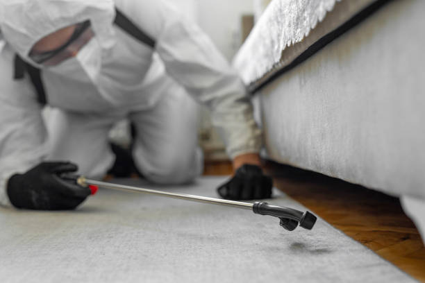 Professional Bed Bug Control technician working in Union County County, GA